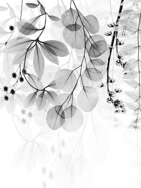 Complex Matter 2 Poster Print - Albert Koetsier