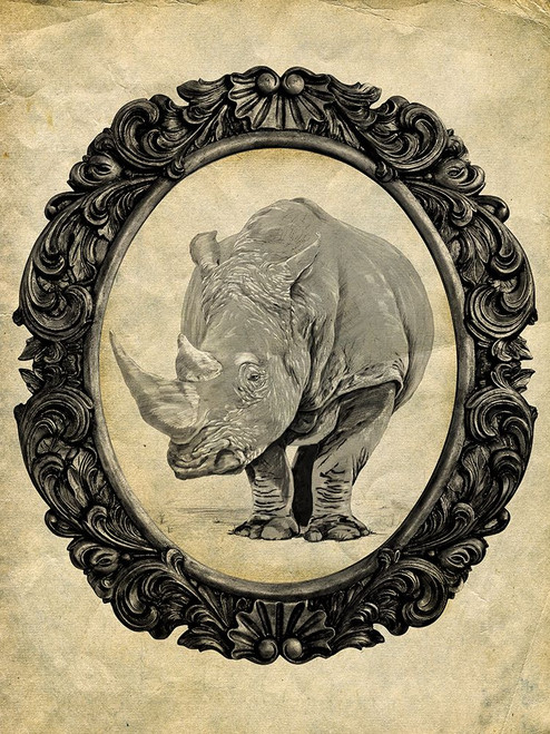 Framed Rhinoceros Poster Print - Studio SEA