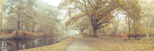 Misty Canal, Autumn Poster Print - Assaf Frank