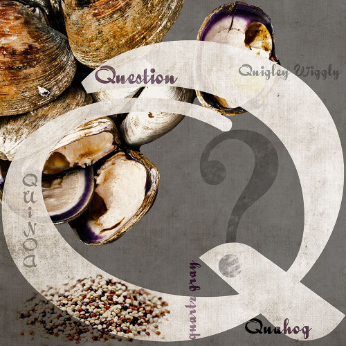 Q Poster Print - P. H. Photography