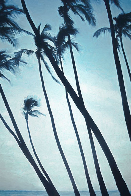 Leaning Palms Poster Print - Don Schwartz