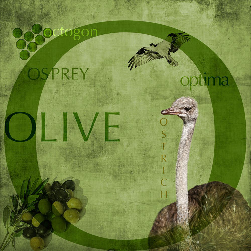 O Poster Print - P. H. Photography