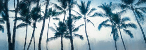 Big Island Palms Poster Print - Don Schwartz