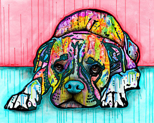 Lying Boxer Poster Print - Russo Collection Dean