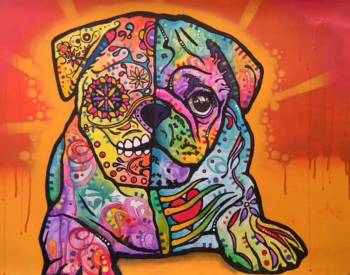 Sugar Pug Poster Print - Russo Collection Dean