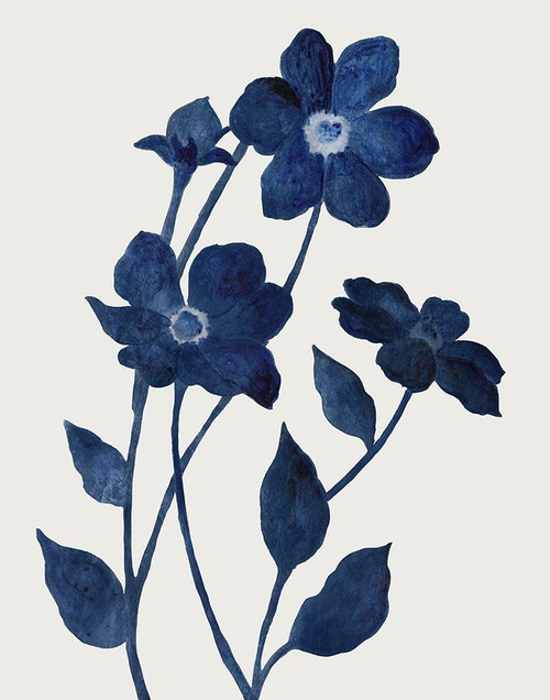 Indigo Bloom II Poster Print - Studios Tava