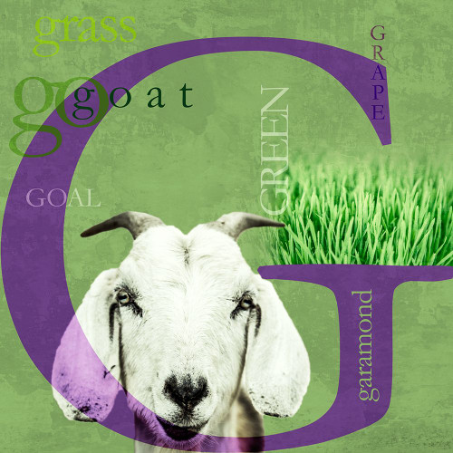 G Poster Print - P. H. Photography