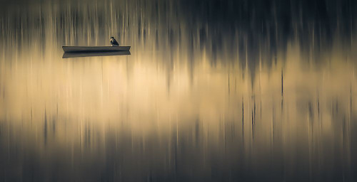 Tranquil Meditation Poster Print - Don Schwartz