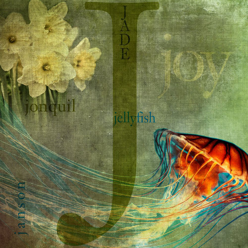 J Poster Print - P. H. Photography