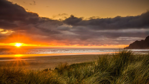 Sunrays Over Manzanita Poster Print - Don Schwartz