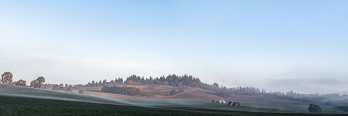 Farmhouse in the Mist Poster Print - Don Schwartz