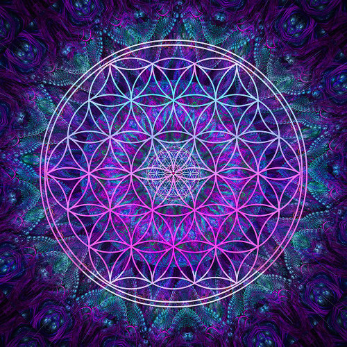 Flower Of Life Poster Print - Cameron Gray