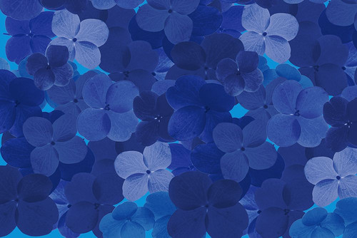 Cool Blue 9 Poster Print - Licensing Studio Art