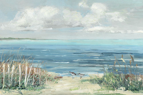 Lively Cove Poster Print - Sally Swatland