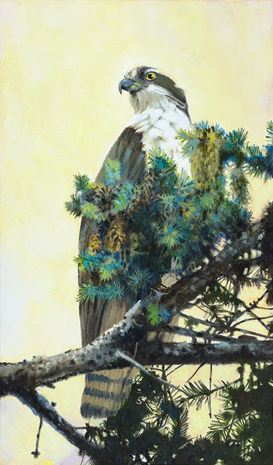 Osprey Poster Print - Max Hayslette