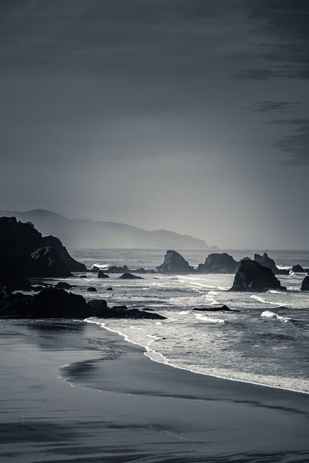 Rugged Shoreline Poster Print - Don Schwartz
