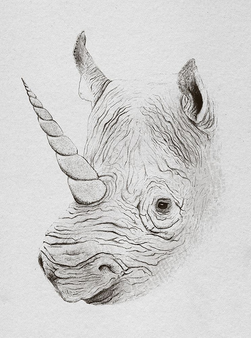 Rhinoplasty Poster Print - Florent Bodart