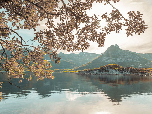 Norwegian fjord, Lofoten, Norway Poster Print - Assaf Frank