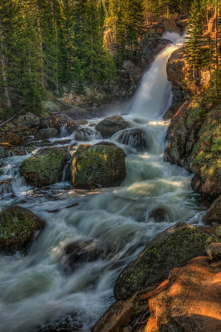 Falling For You Poster Print - Bill Sherrell