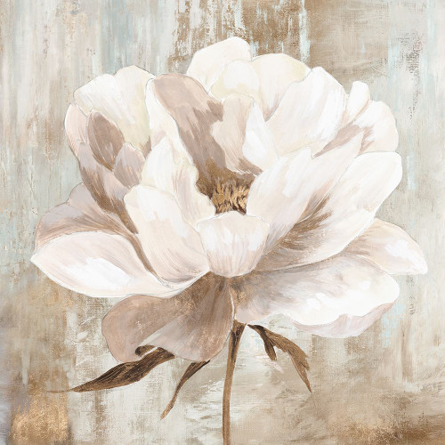 Ebony Floral I Poster Print - K Aria