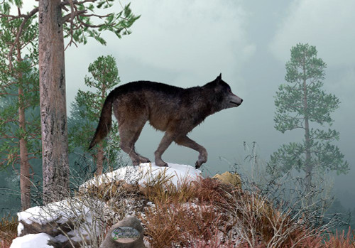 Winter Wolf Poster Print - Daniel Eskridge