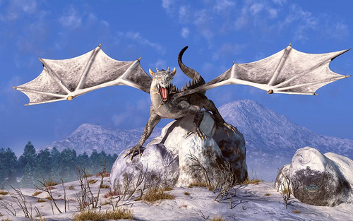 White Dragon Poster Print - Daniel Eskridge
