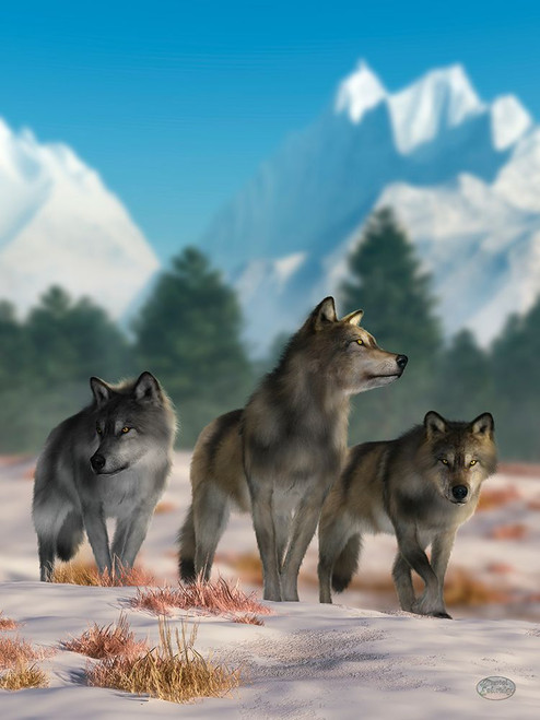 Three Wolves Poster Print - Daniel Eskridge