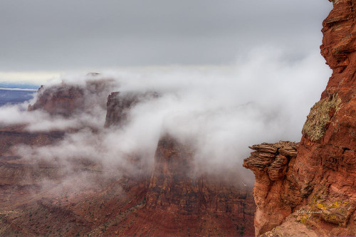 Creation Poster Print - Bill Sherrell