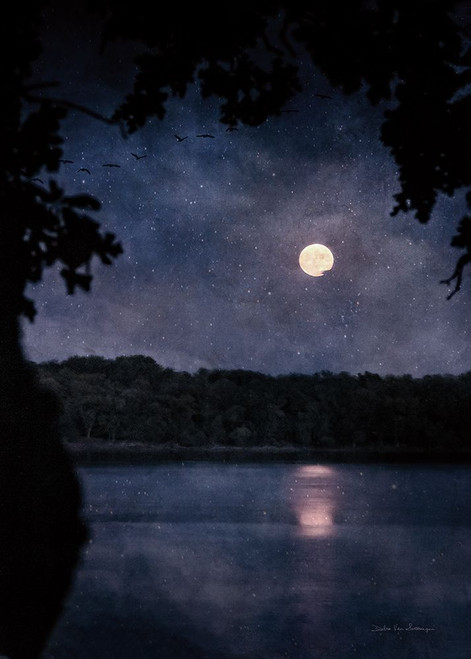 Full Moon Blues Poster Print - Swearingen Debra Van