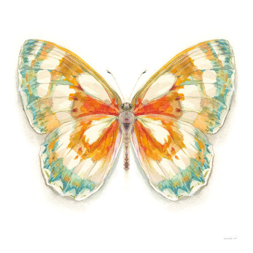 Fragile Wings Butterfly II Poster Print - Danhui Nai