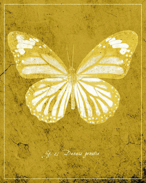 Butterfly J Poster Print - ArtLab GI