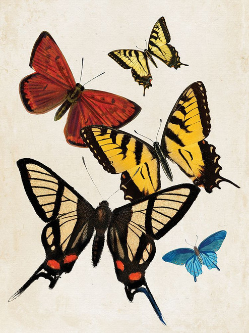 Vintage Butterfly II Poster Print - Apple Portfolio Wild