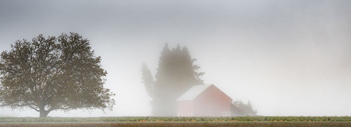 Red Barn Draped in Mist Poster Print - Don Schwartz