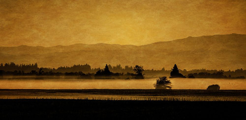 Soft Blanket of Fog Poster Print - Don Schwartz