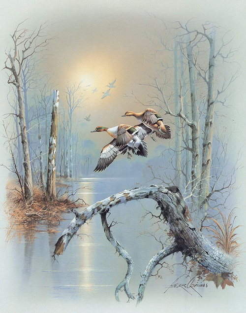 Ducks D Poster Print - Andres Orpinas