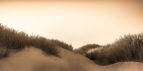 Dunes at Sunrise Poster Print - Don Schwartz