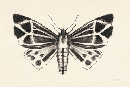 Moth III Poster Print - Avery Tillmon