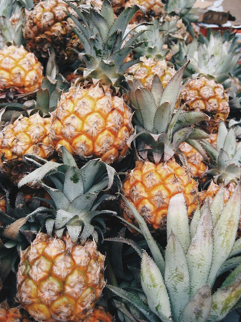 Pineapples Poster Print - Artographie