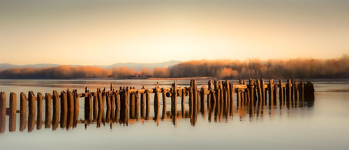 Late Autumn Along the River Poster Print - Don Schwartz