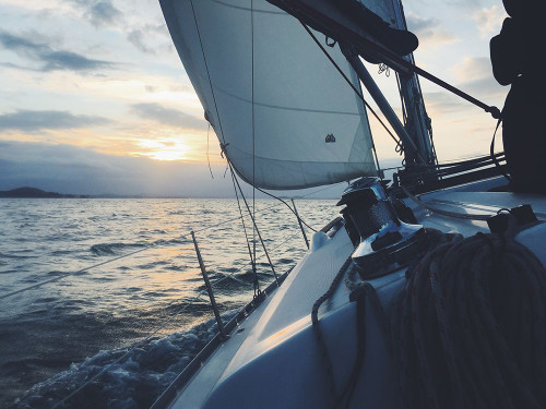 Sailing New Zealand Waters Poster Print - Artographie