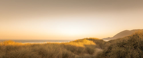 Sunlit Dunes Poster Print - Don Schwartz