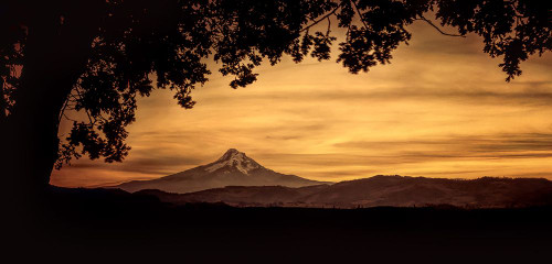 Mt. Hood at Sunset Poster Print - Don Schwartz