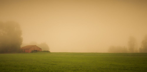 Red Barn in the Fog Poster Print - Don Schwartz