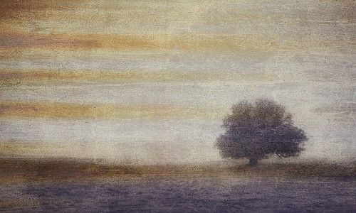 Silent and Still II Poster Print - Don Schwartz