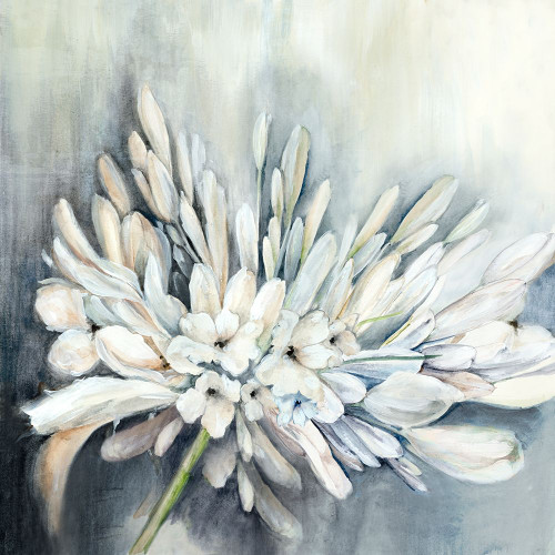 White Flora Bloom Poster Print - Alex Black