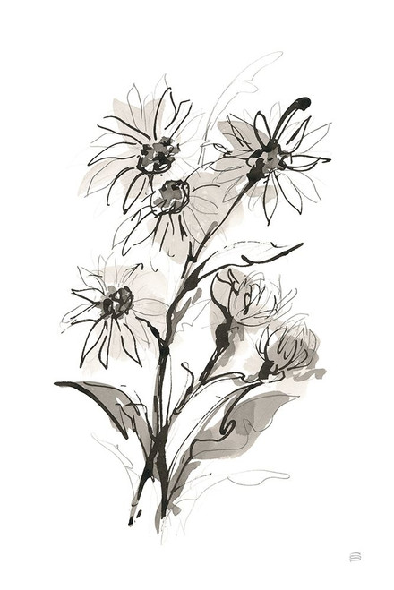 Daisy I Poster Print - Chris Paschke