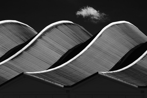 Waves Poster Print - Jacqueline Hammer