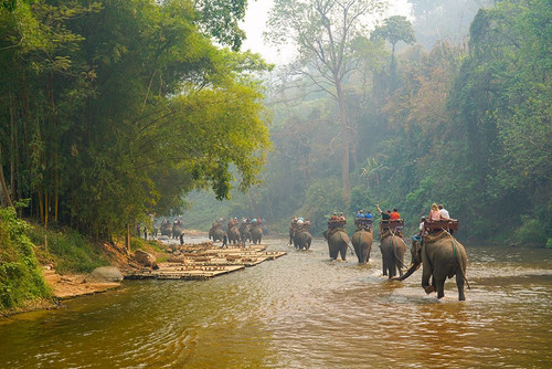 Thailand - 330 Poster Print - Ben Heine