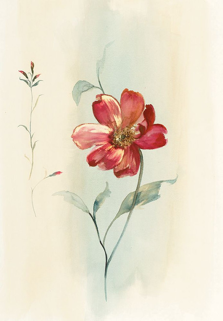 Modern Red Floral Poster Print - Unknown