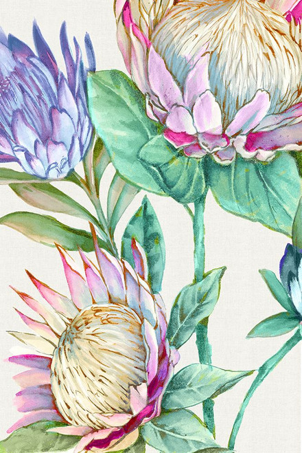 Wild King Protea Poster Print - Alex Black